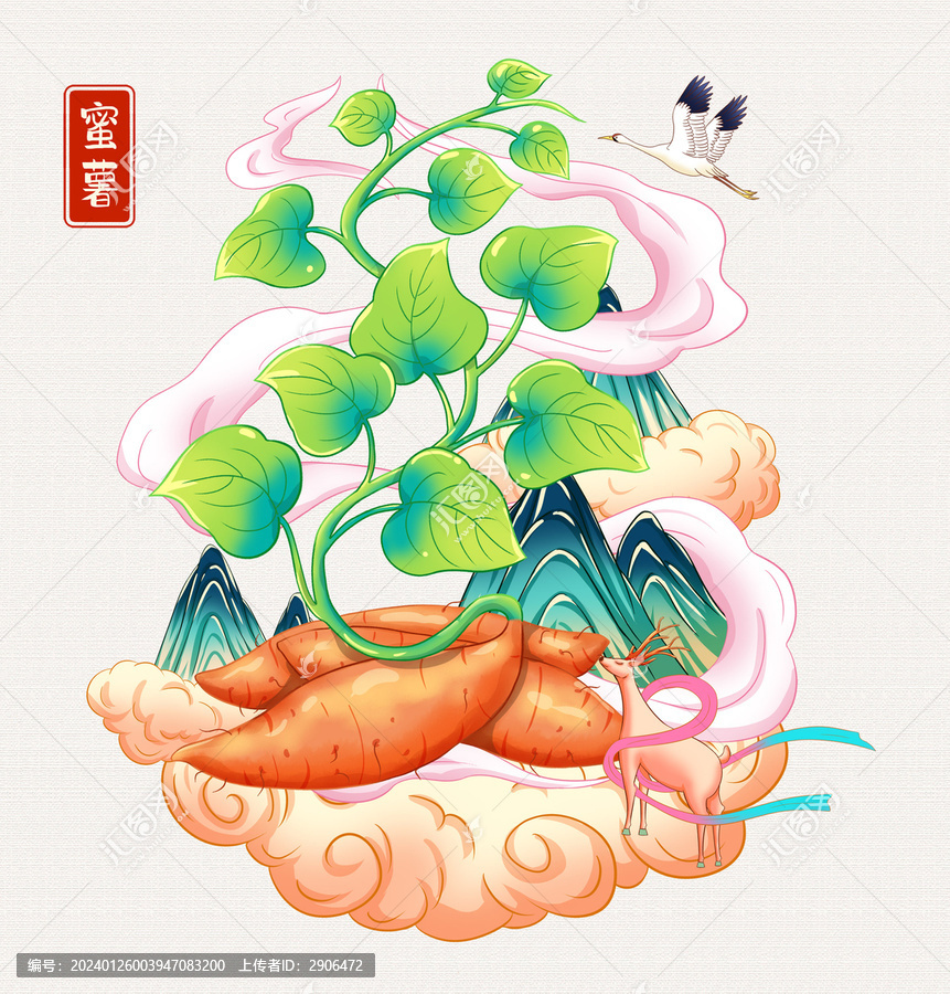 蜜薯插画手绘