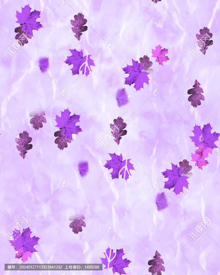 紫色枫叶