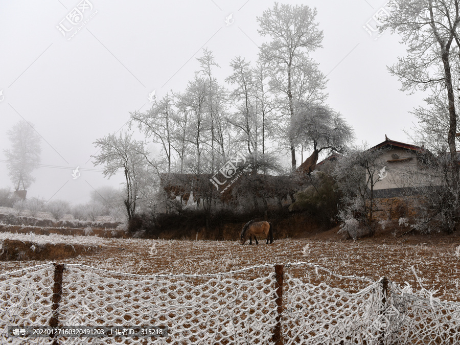 大凉山农村雪景