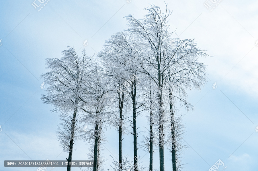 四明山雪景