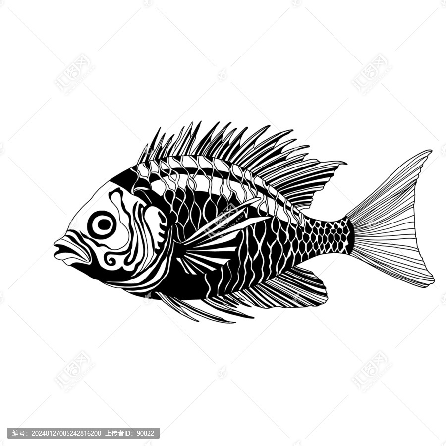海洋魚類線稿