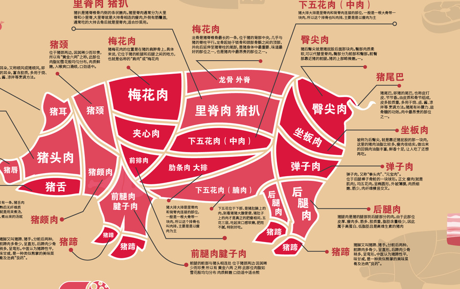 豬肉分割
