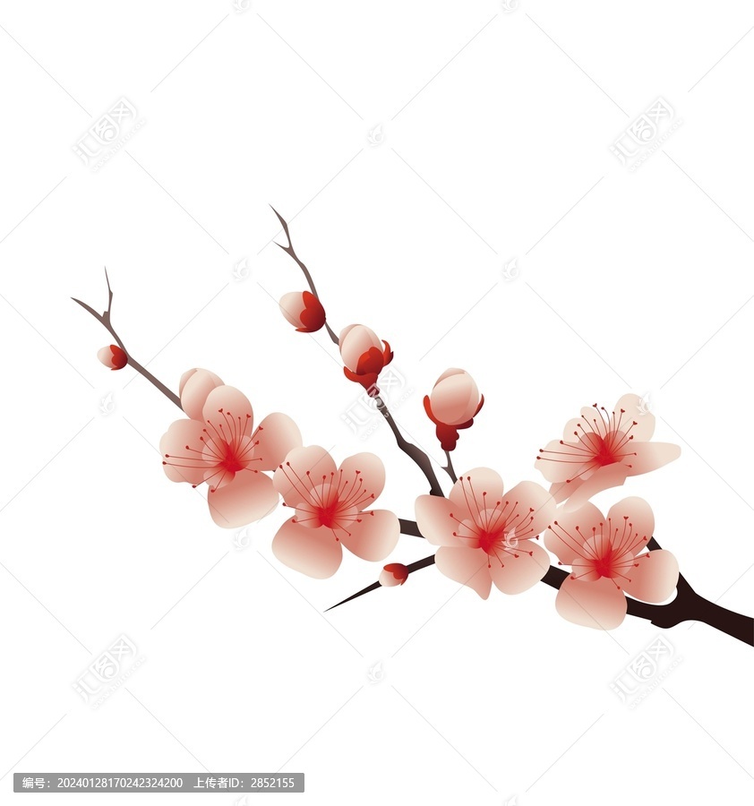 桃花梅花