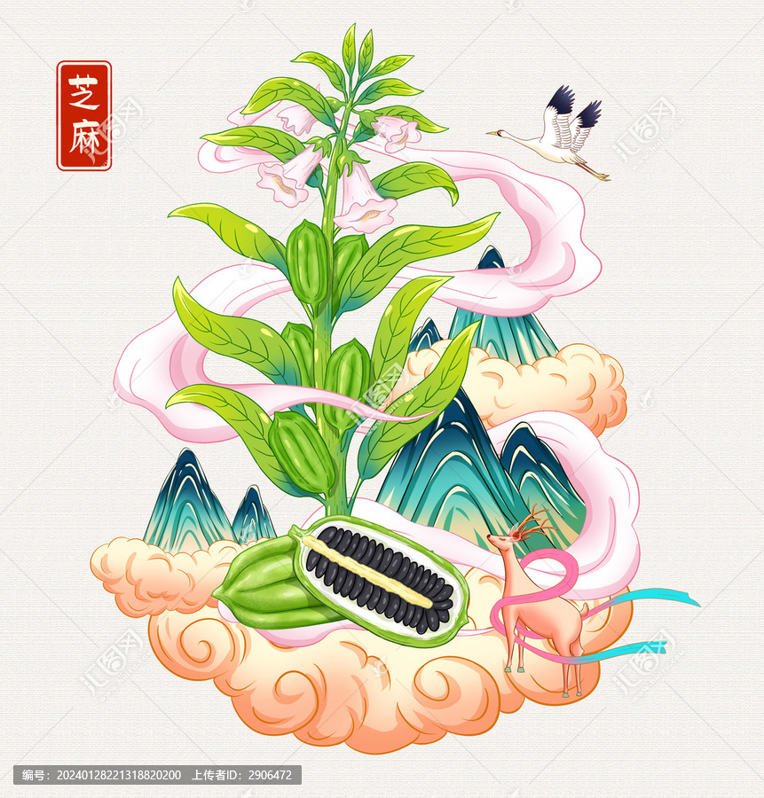 黑芝麻插畫手繪
