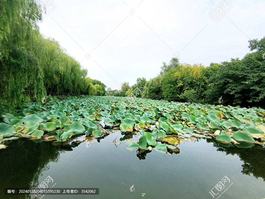 邵伯大运河