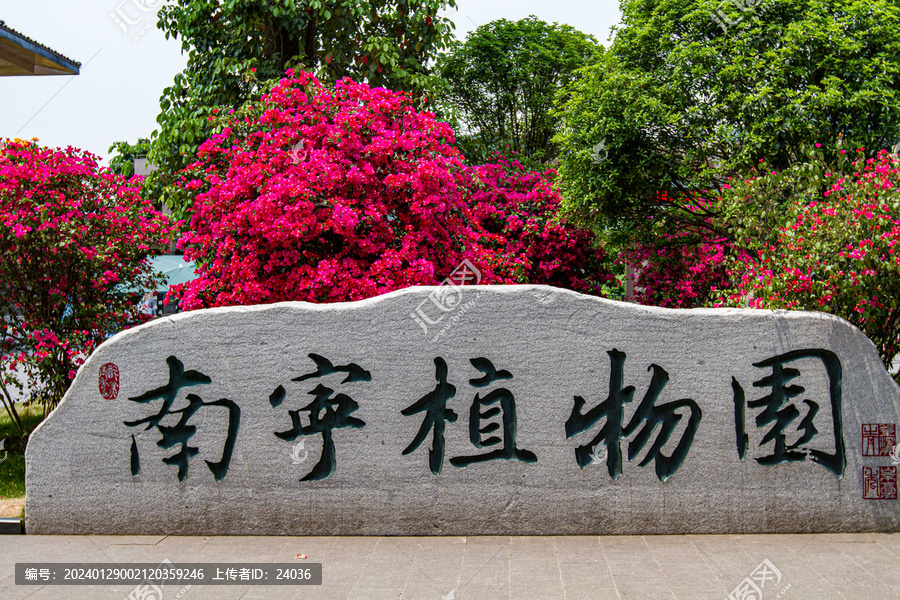 南宁植物园景观石