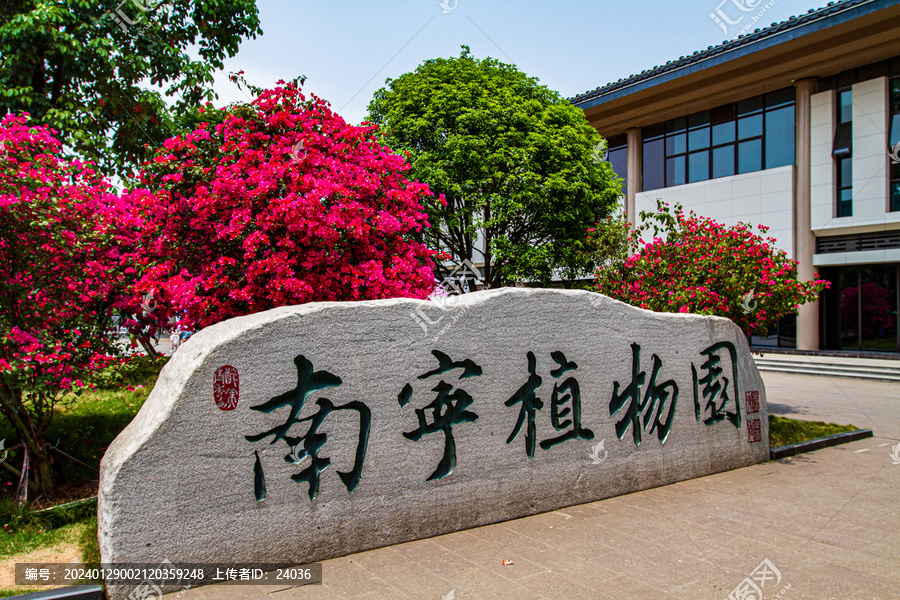 南宁植物园景观石