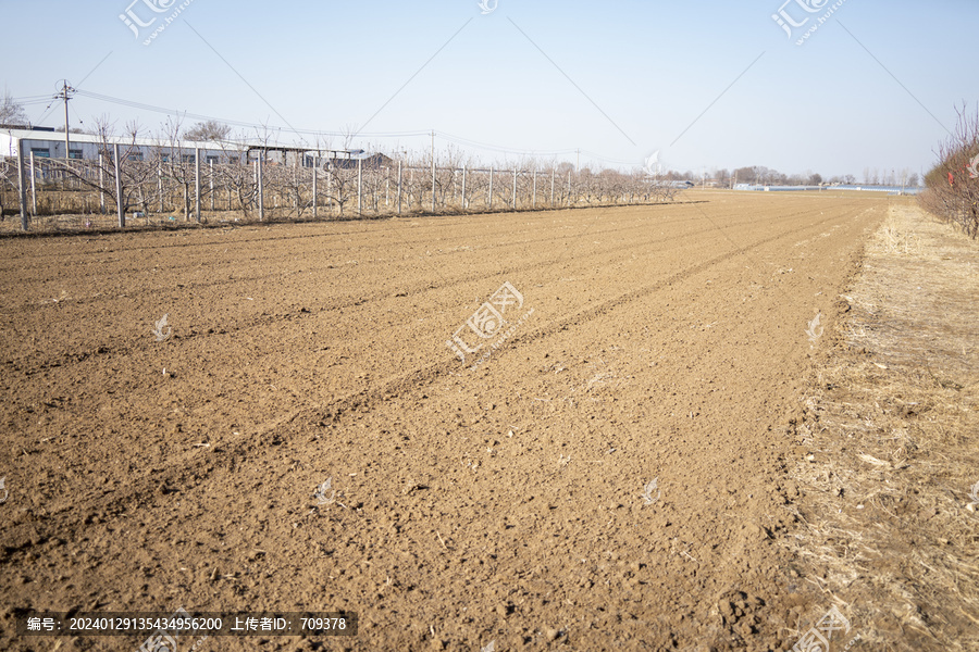 农田土壤
