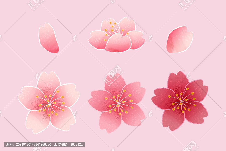 精致粉红樱花与花瓣元素集合
