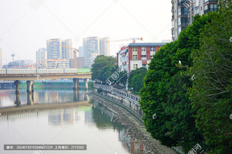 广州河涌