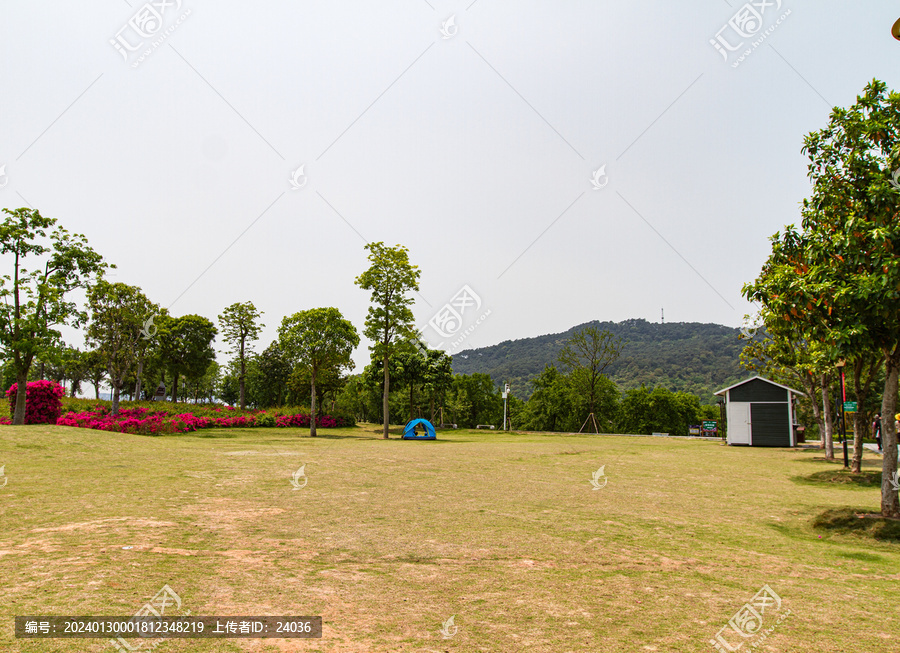 青秀山公园大草坪