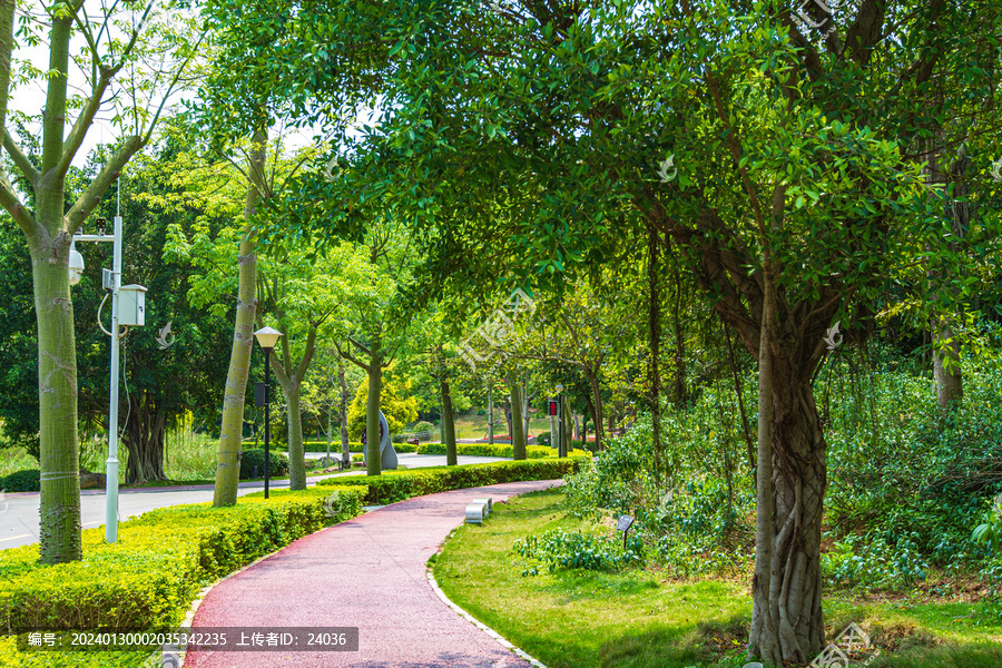 青秀山公园游览步道