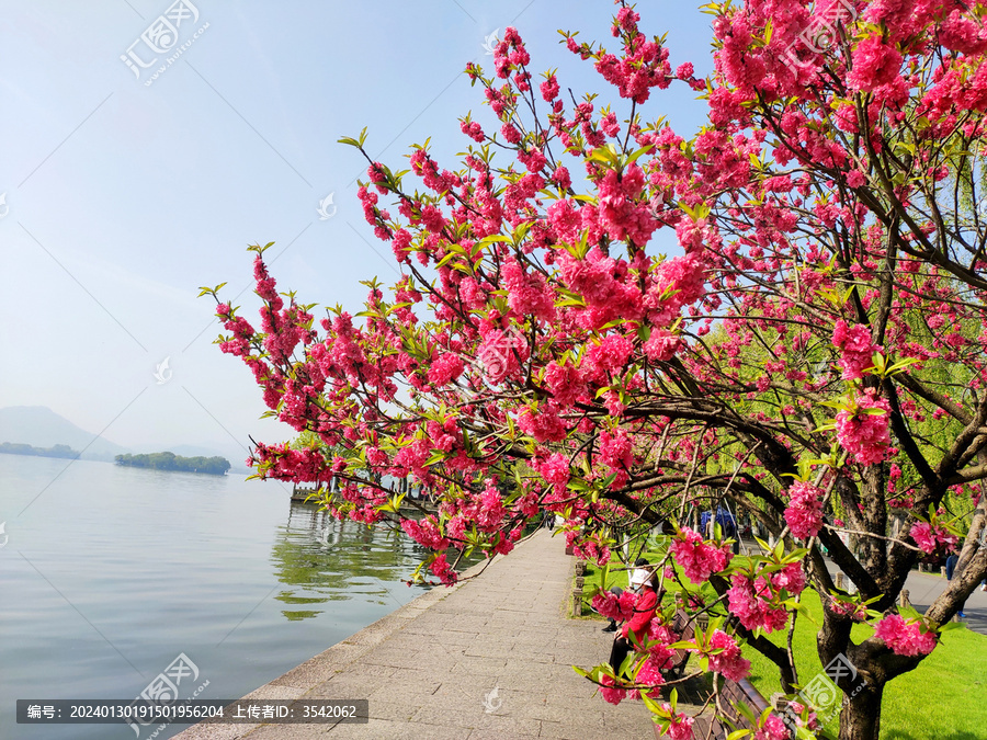 杭州西湖