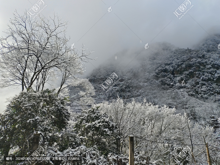 白雪皑皑