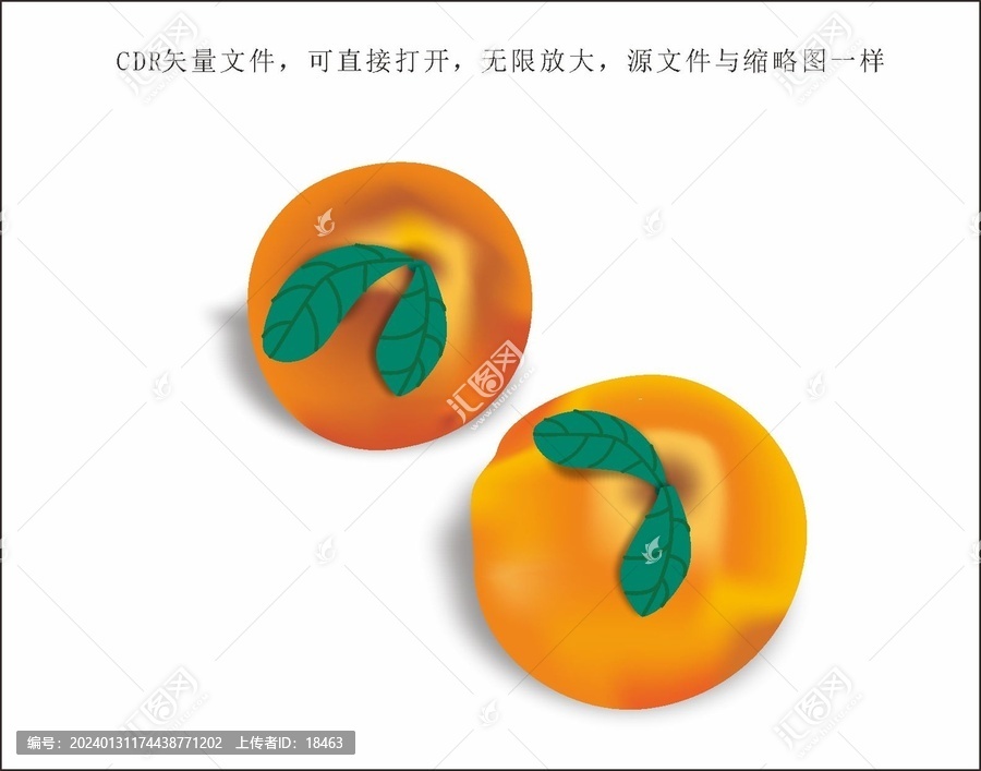 桔子