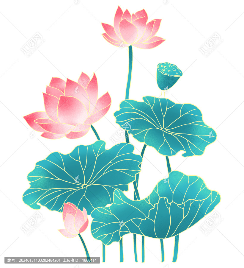 中式古風荷花插畫