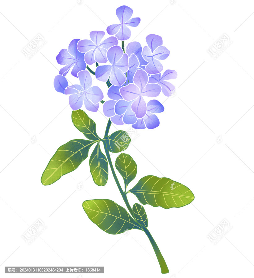 中式國潮花卉插畫