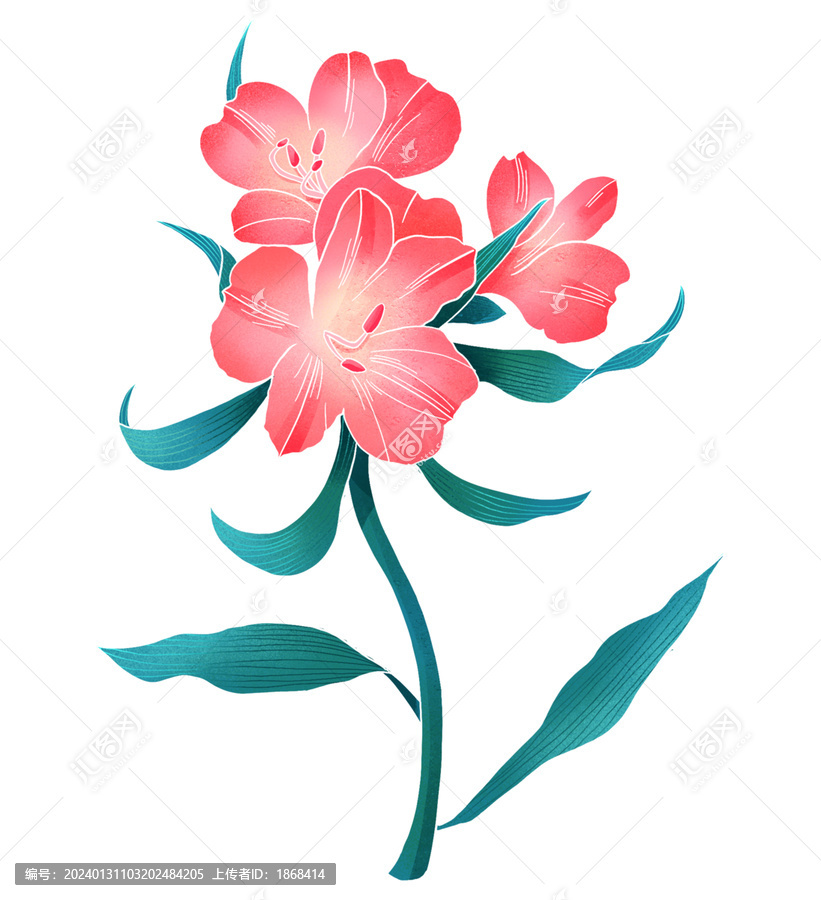中式國潮花卉插畫