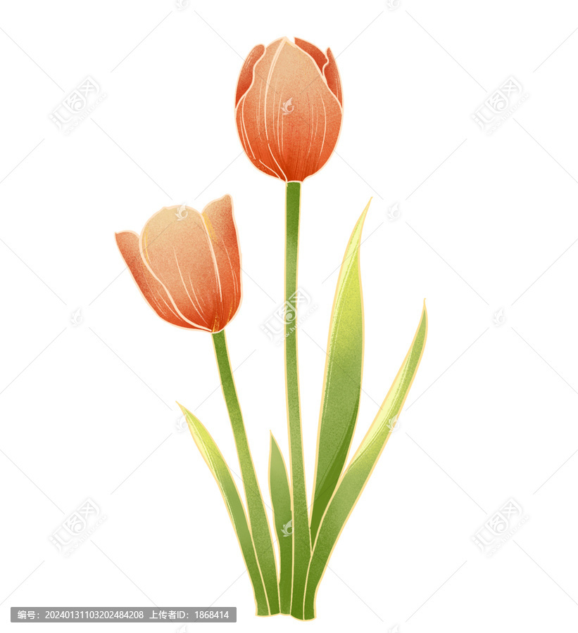 中式國潮花卉插畫