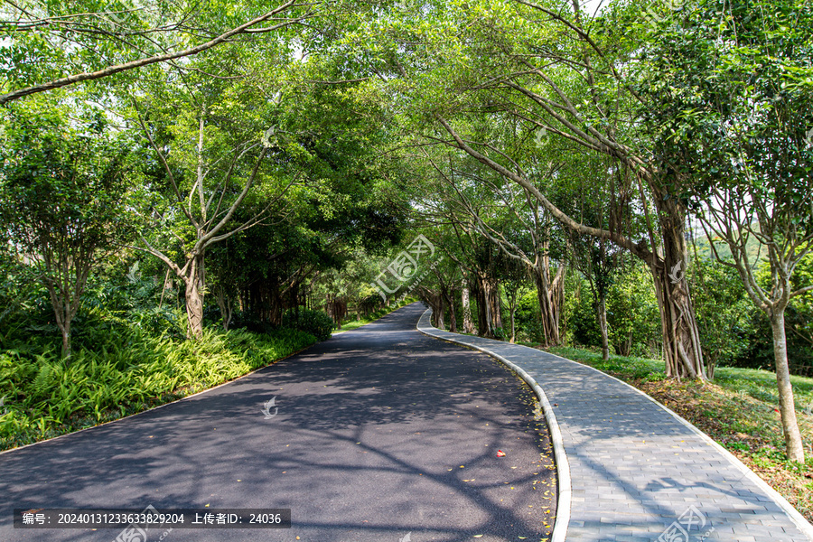 青秀山公园道路