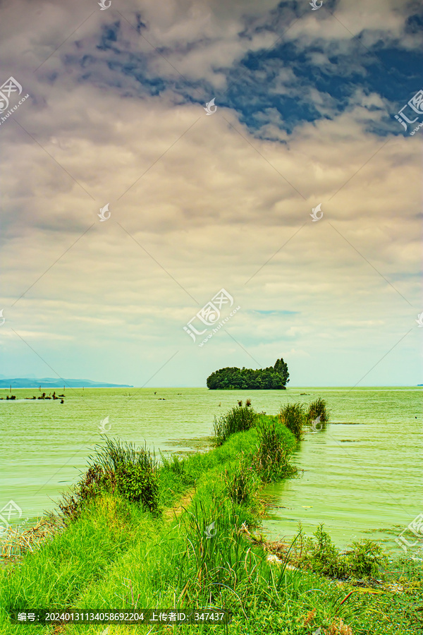 滇池湿地鲸鱼岛