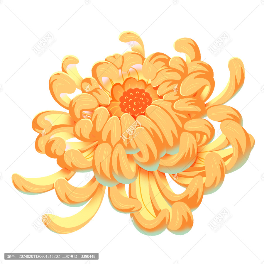 單朵菊花免摳元素