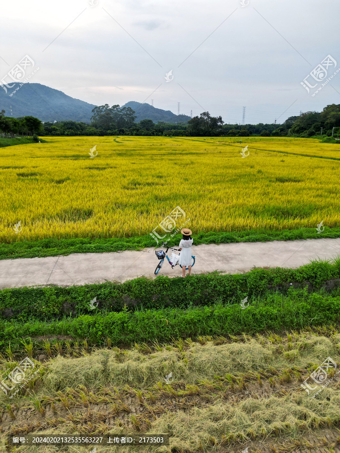 乡村旅游