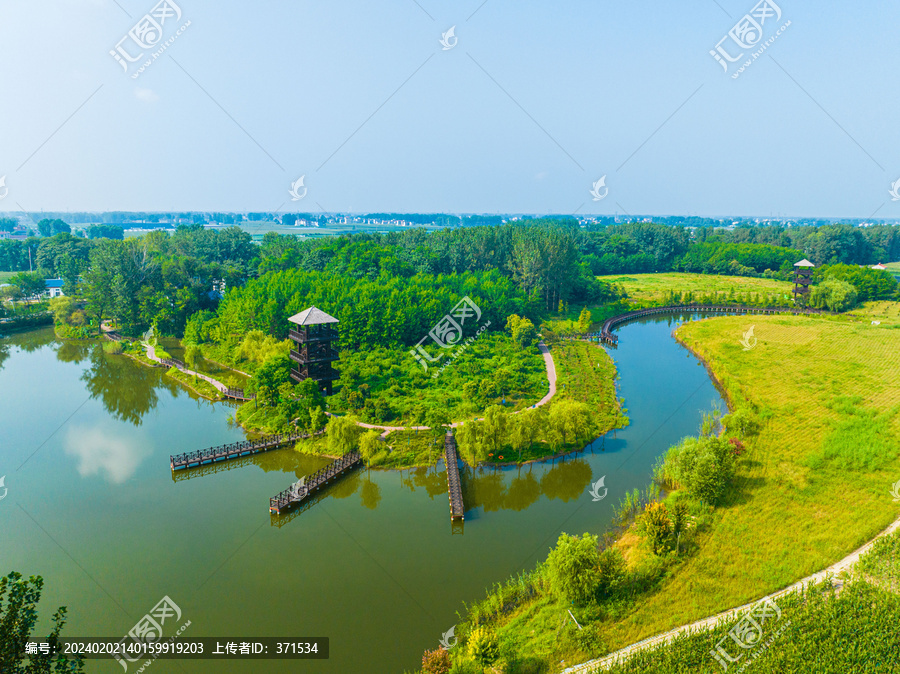 临泉鹭鸟湿地公园