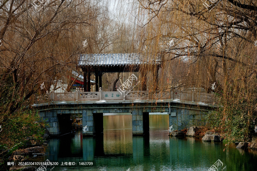 大明湖风景