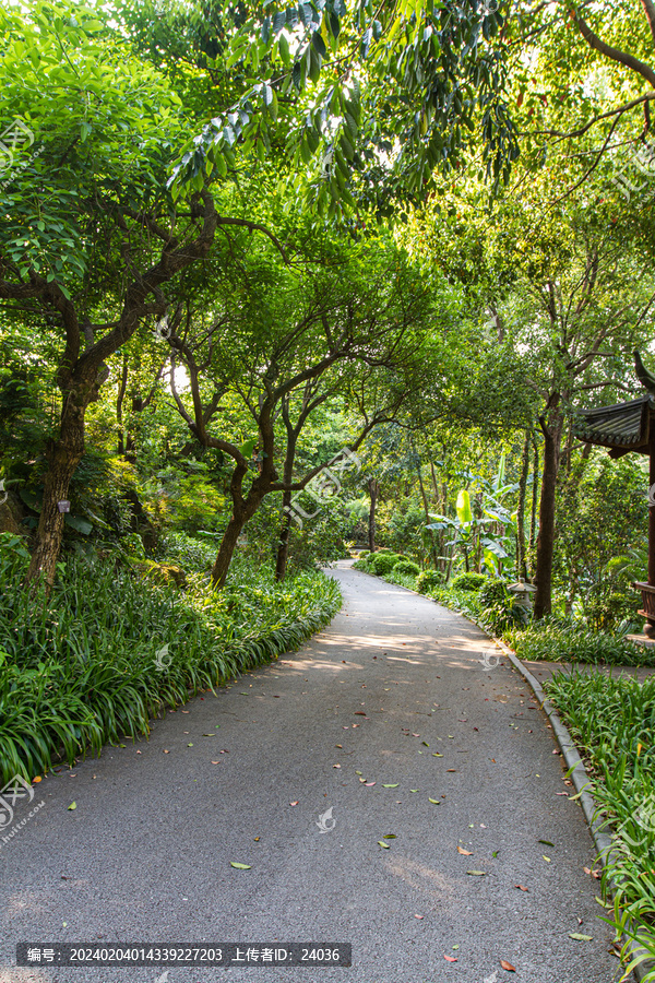 青秀山公园步道