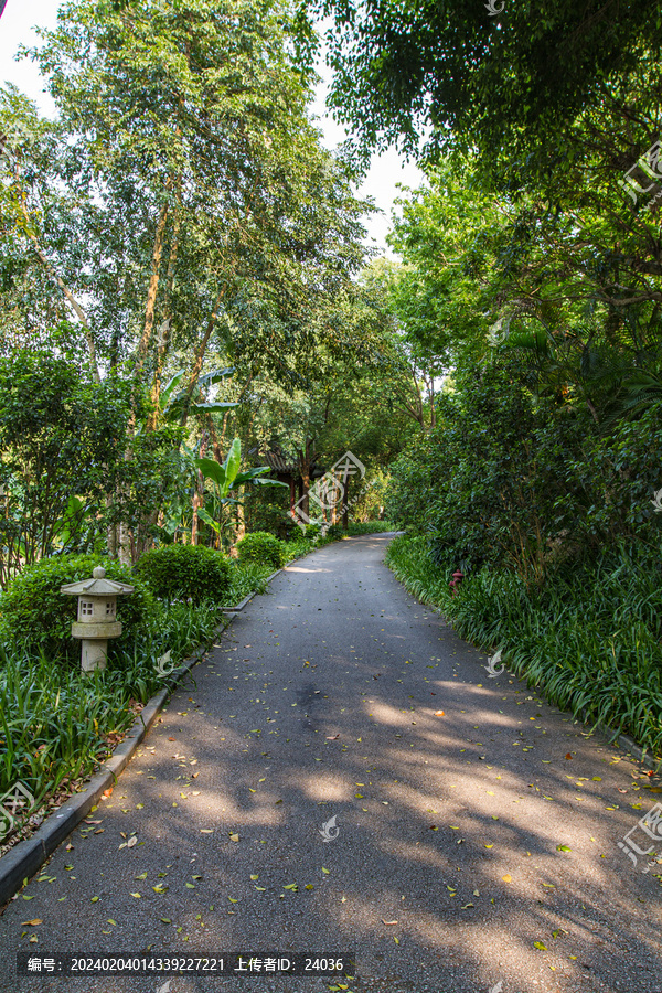 青秀山公园步道