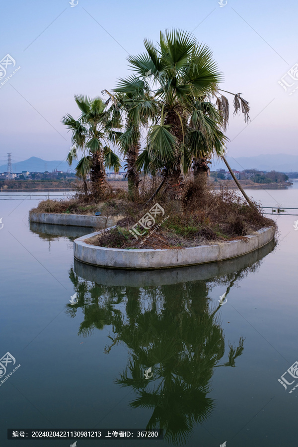 水中的小岛