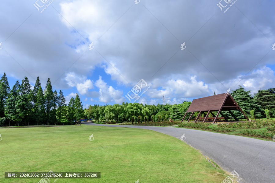 森林公园美景