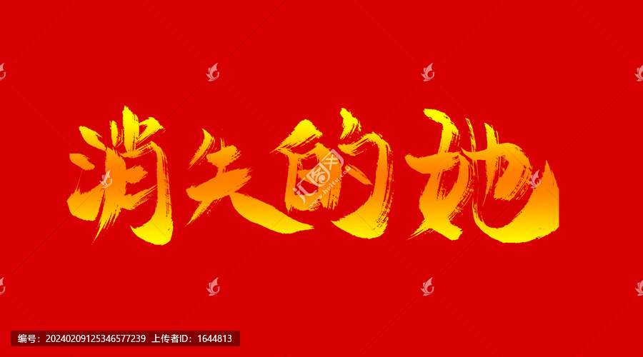 消失的她