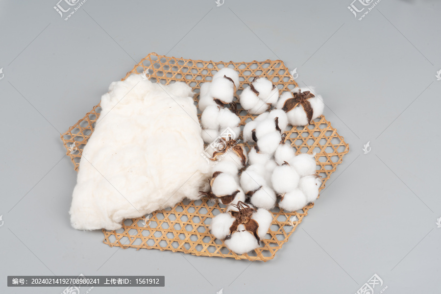 农作物棉花