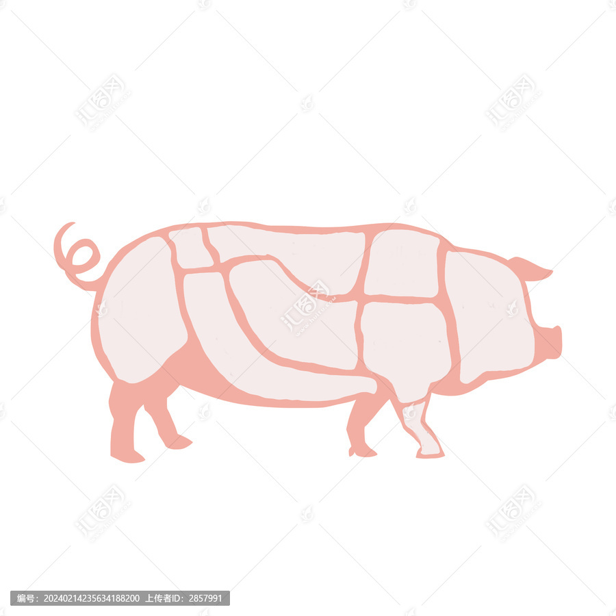 豬肉部位分割介紹圖