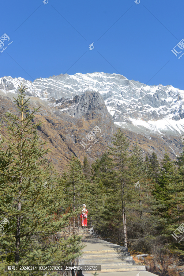 四姑娘山双桥沟雪山及红衫林栈道