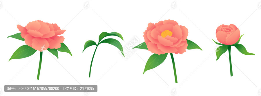 粉色牡丹花扁平漸變元素插畫