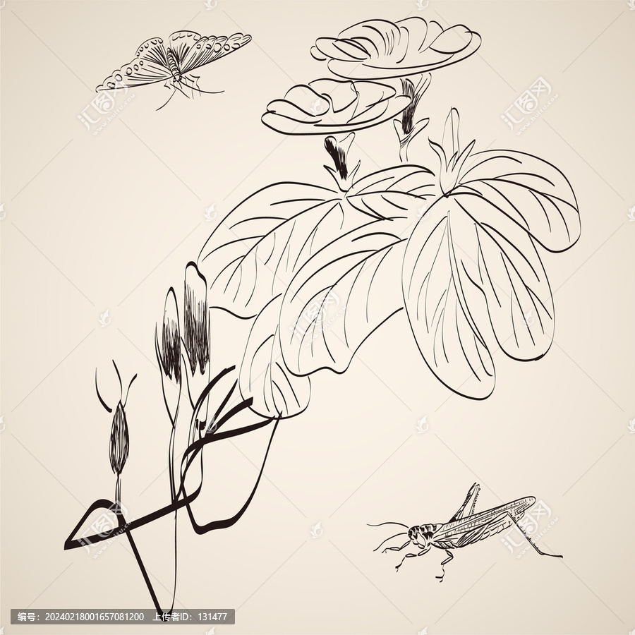 線描小品