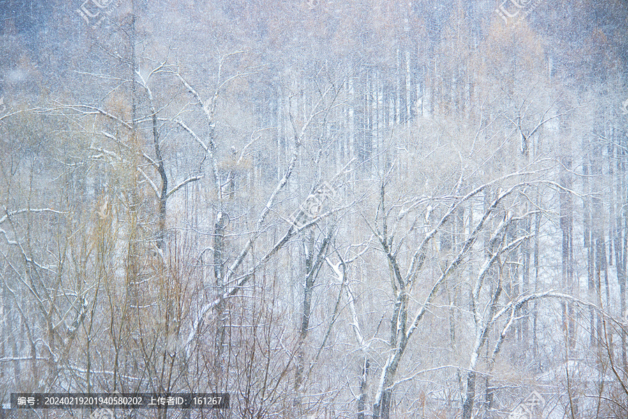 春雪