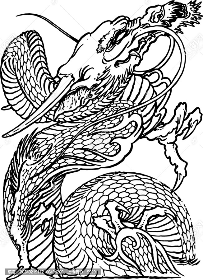 矢量白描傳統(tǒng)龍