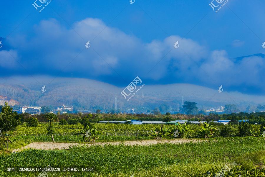 云南勐海风景