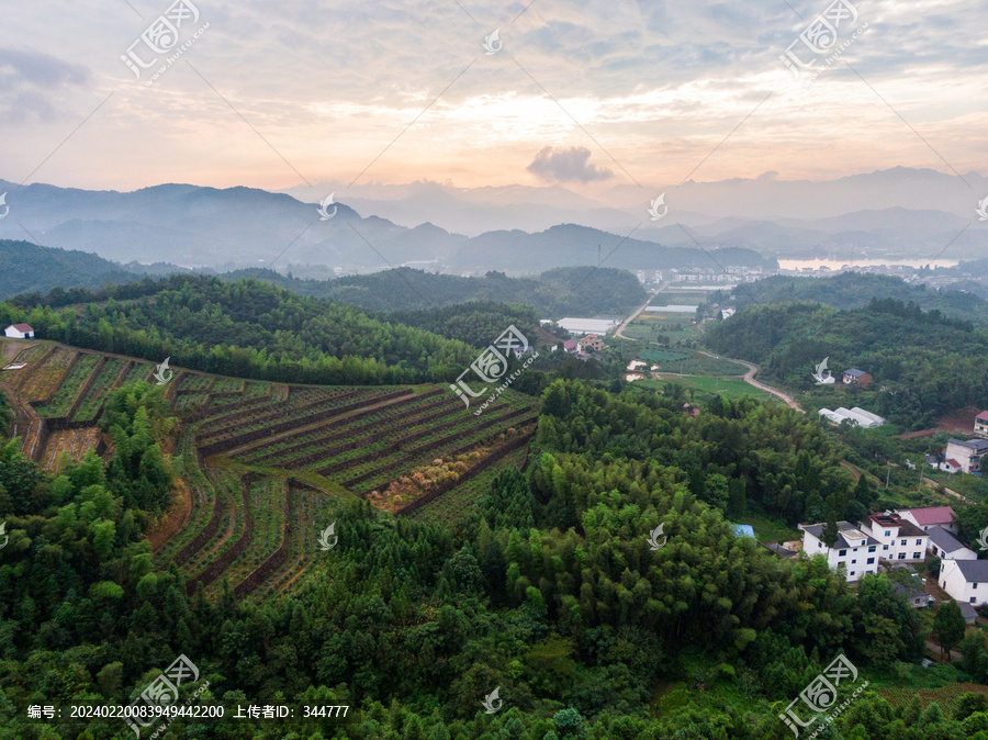 山村梯田风光