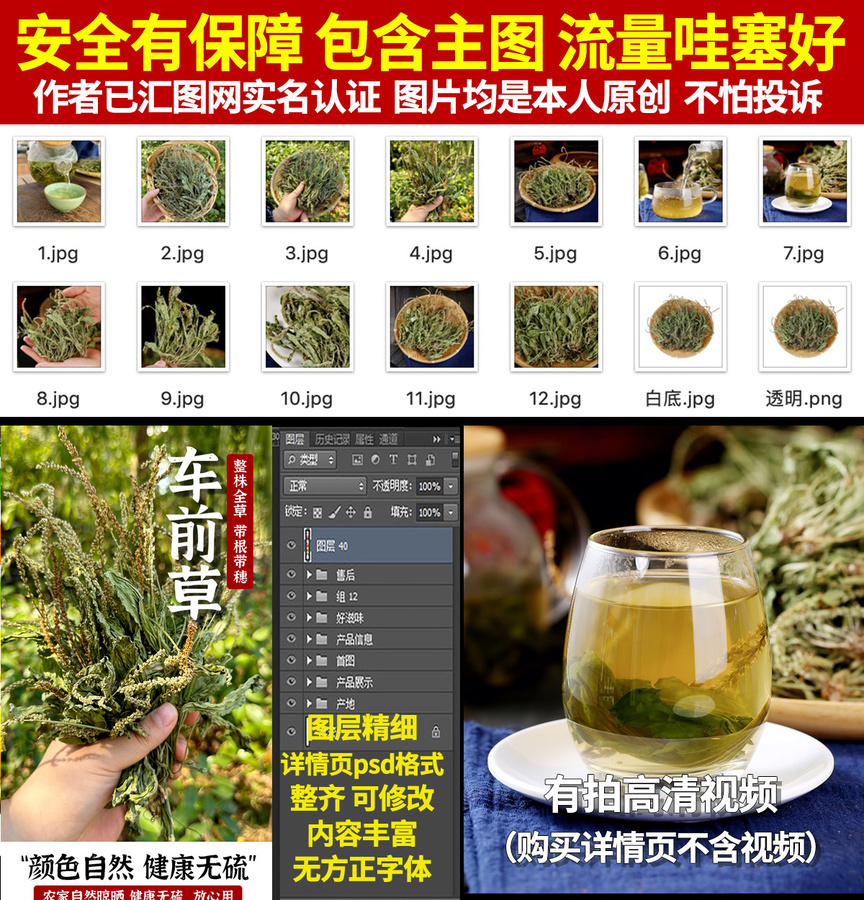 車(chē)前草詳情