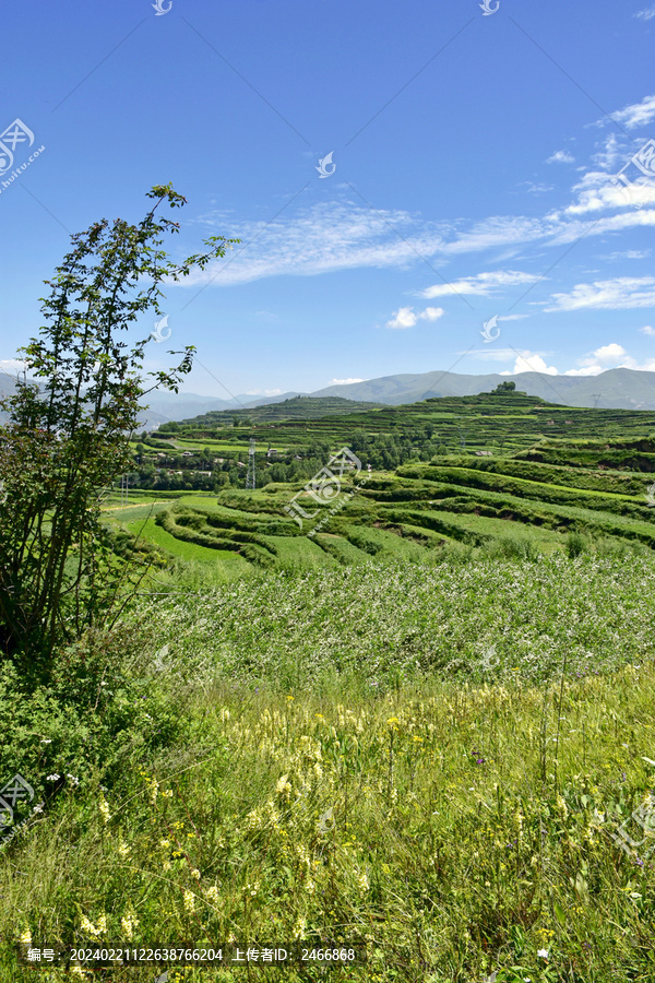 夏日乡村