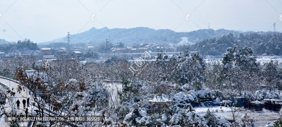 美丽雪景