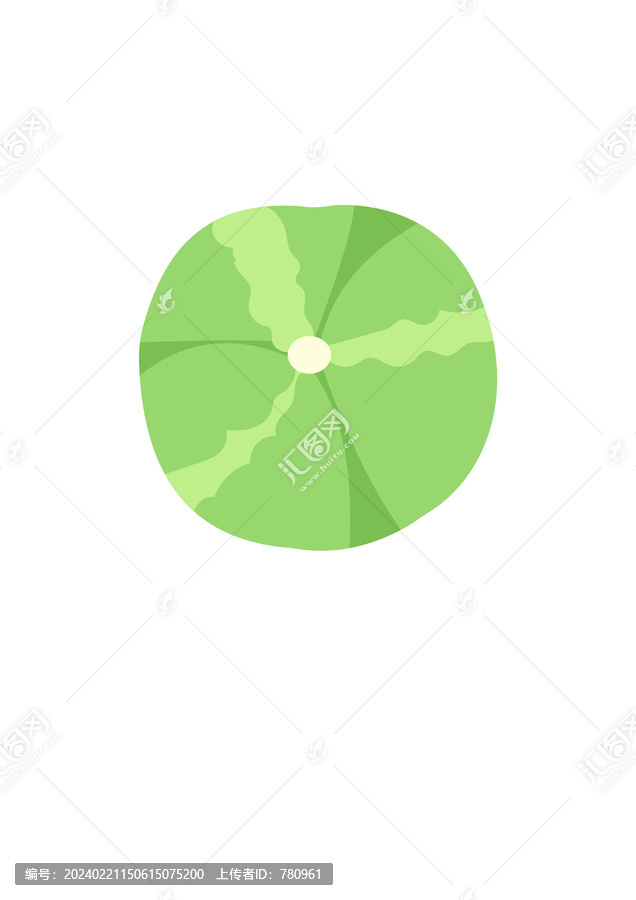 包菜