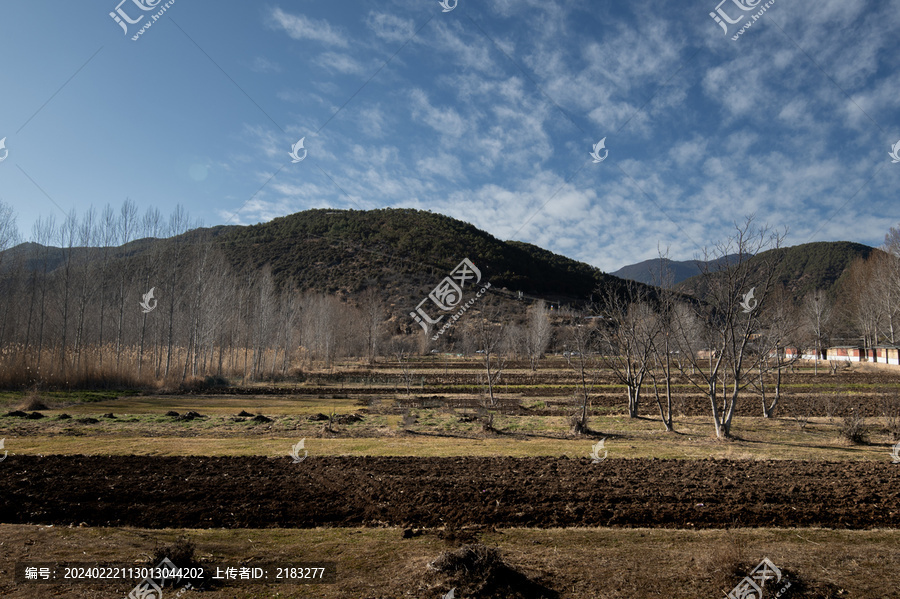 冬日原野