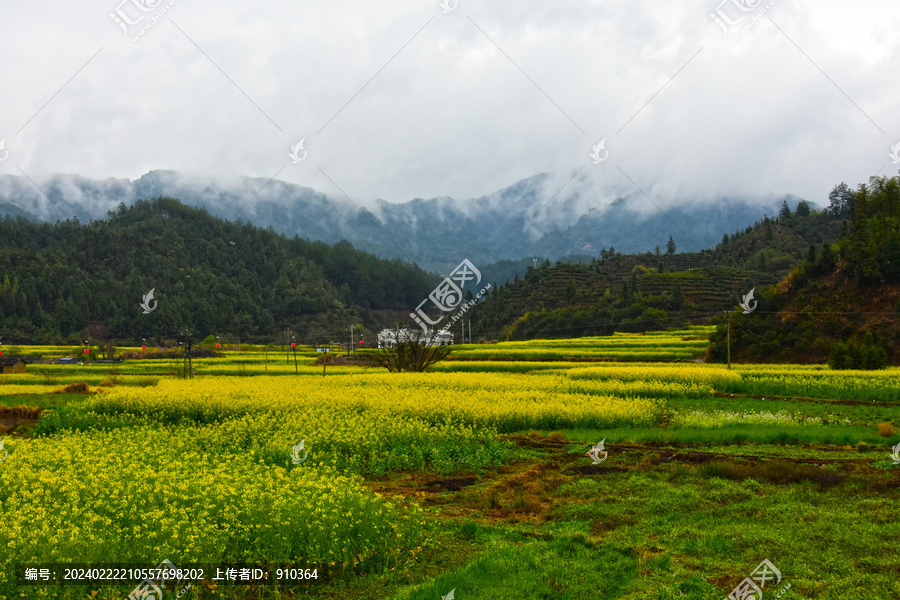 高山农田