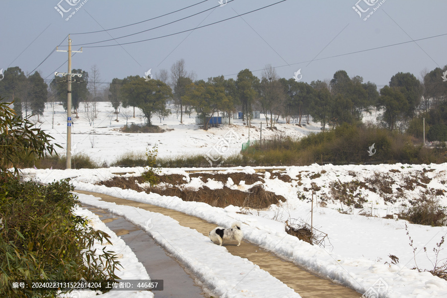 雪景乡村公路